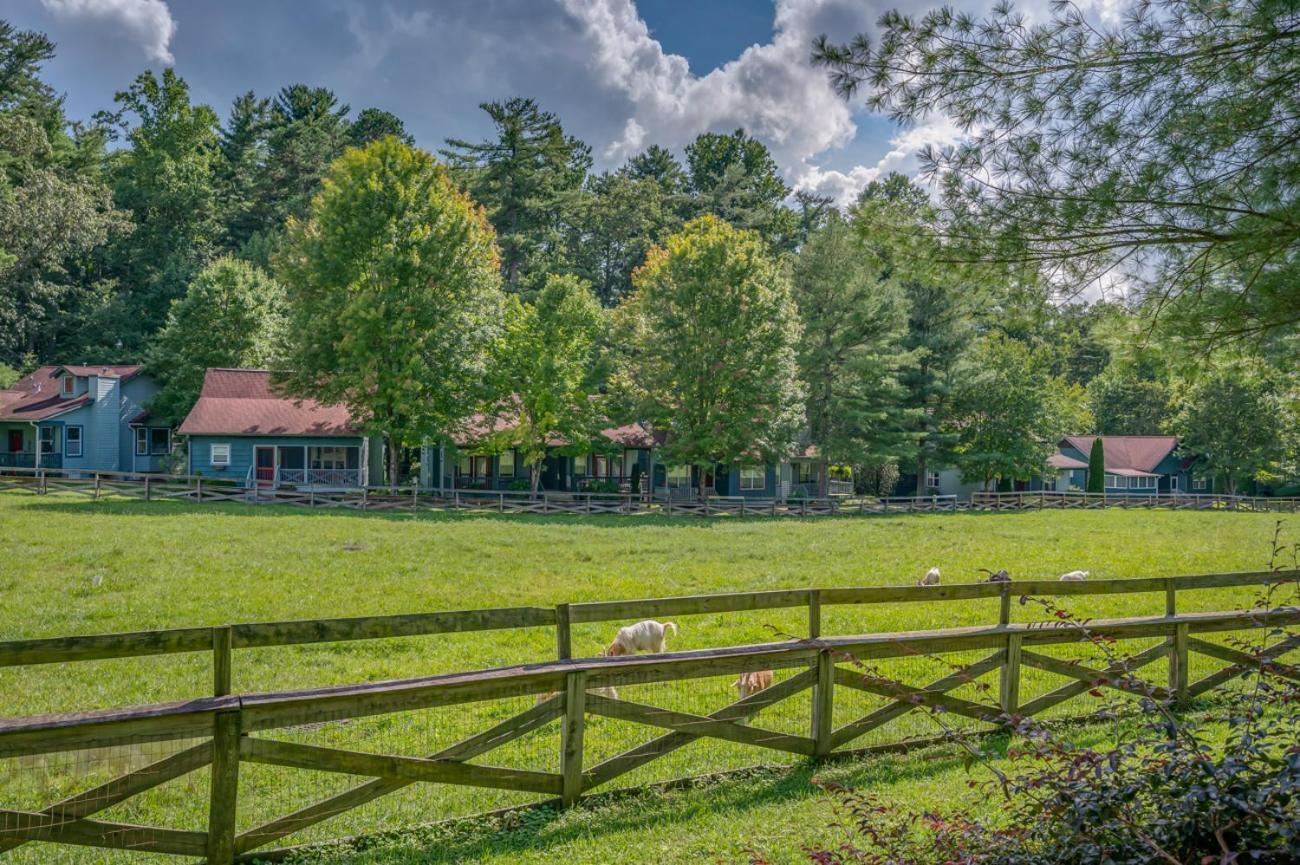 Buttercup Cottage Ешвілл Екстер'єр фото