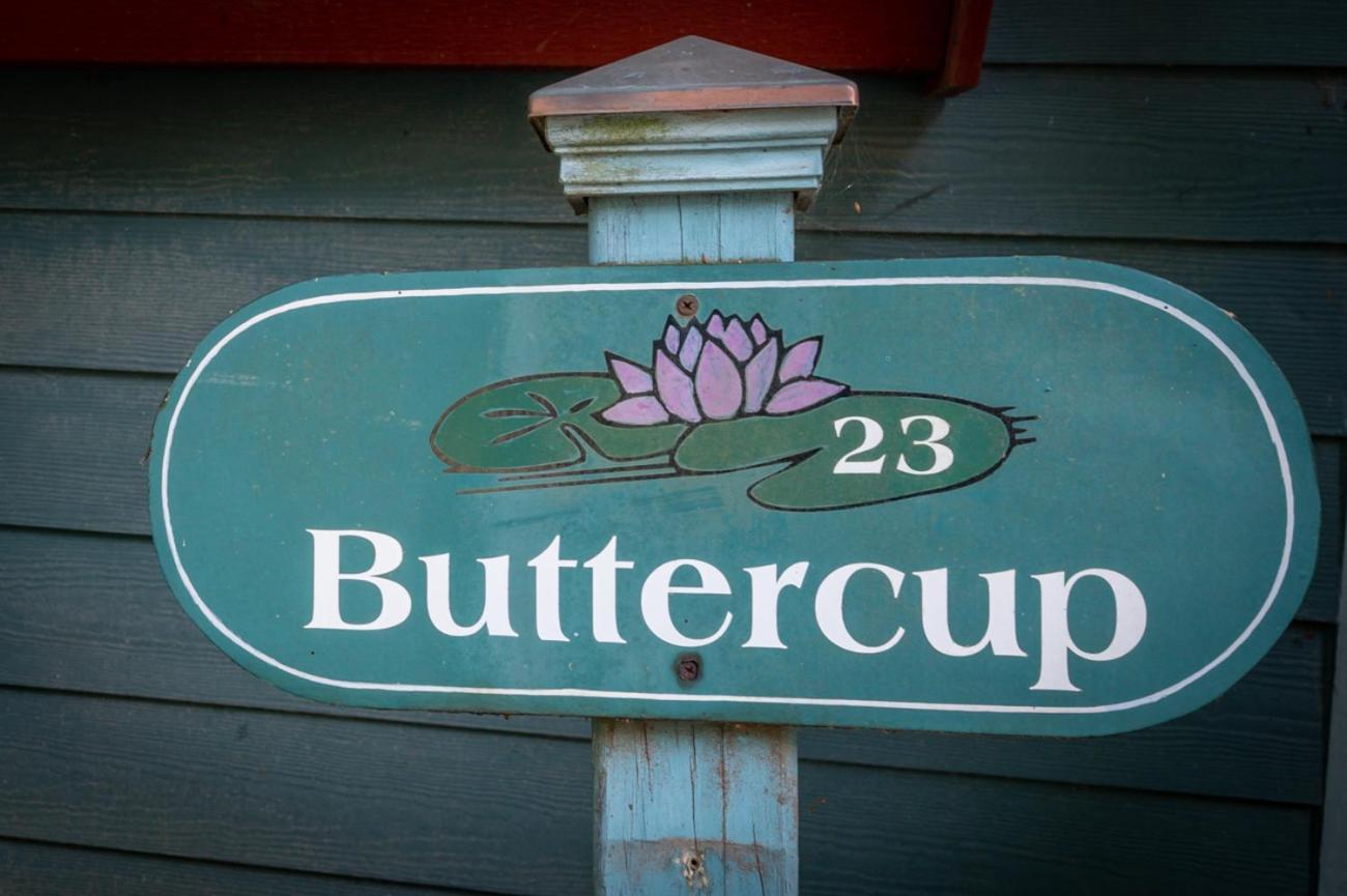 Buttercup Cottage Ешвілл Екстер'єр фото